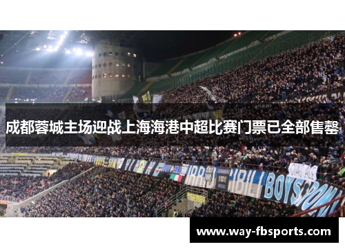 成都蓉城主场迎战上海海港中超比赛门票已全部售罄